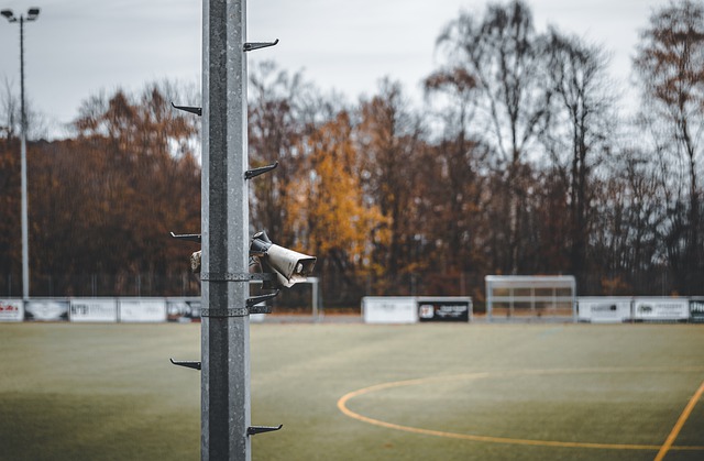 他们在本场 他们在本场