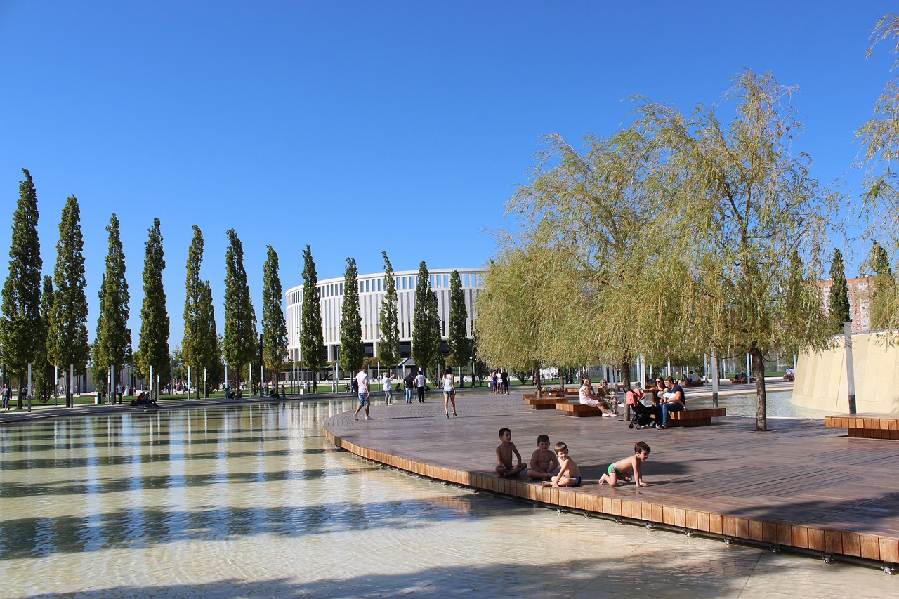 了这一问题 了这一问题