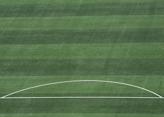 他们逐渐找 他们逐渐找