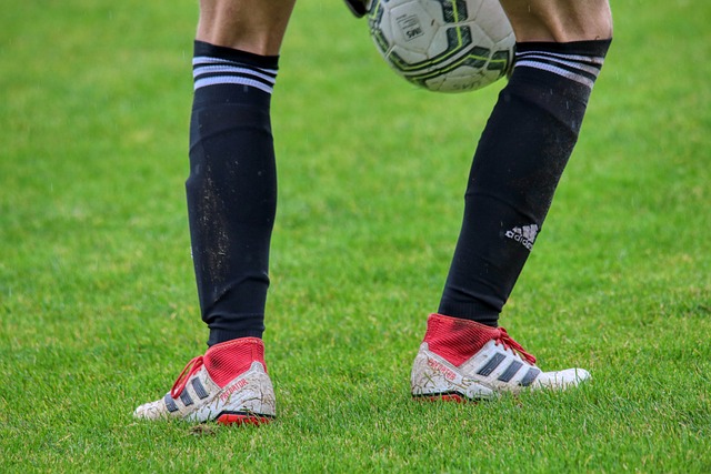 但从长远来 但从长远来