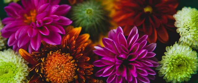 的进攻能力 的进攻能力