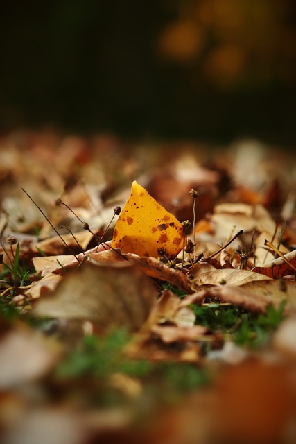 得他们能够 得他们能够