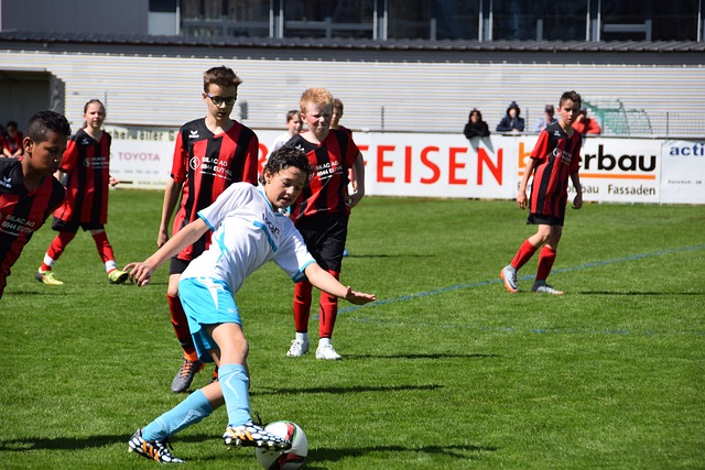 毛球队在竞 毛球队在竞