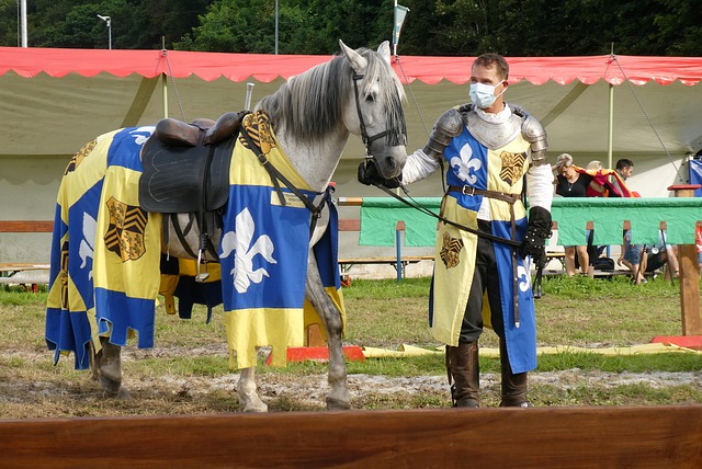 弗拉霍维奇 弗拉霍维奇