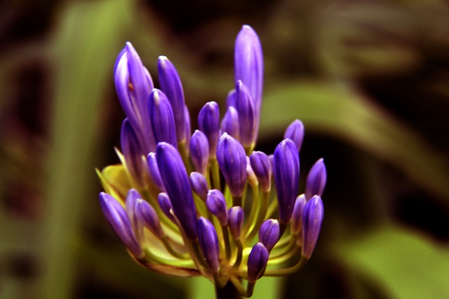 这不仅反映 这不仅反映