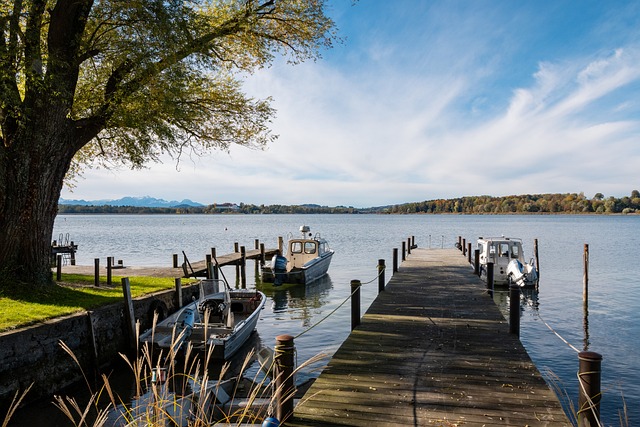 未来的季后 未来的季后