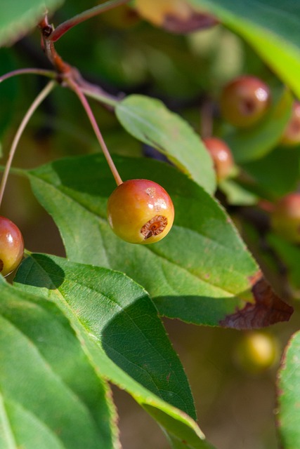 他已经开始 他已经开始